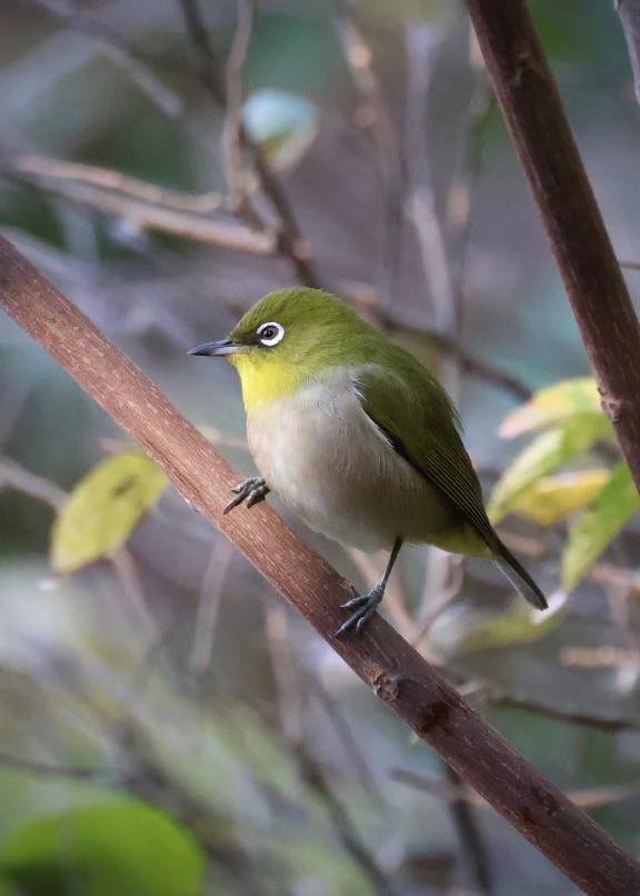 きょうもいちにち\( *´ω`* )/♪