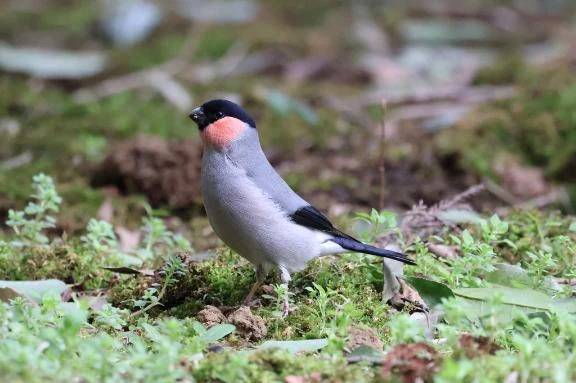 きょうもいちにち\( *´ω`* )/♪