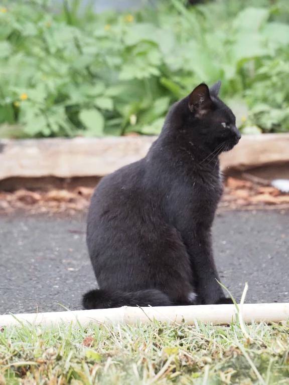 おはようございます☀️