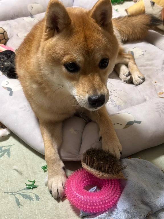 おはようございます