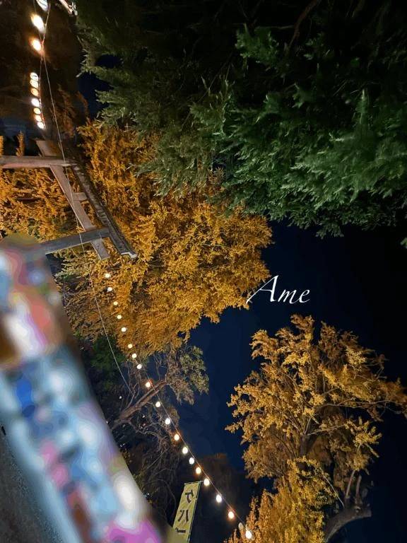 🍬お裾分けです！