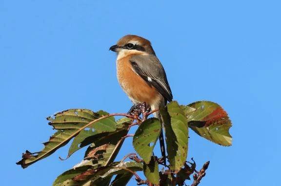 きのう11/27もいちにち\( *´ω`* )/♪
