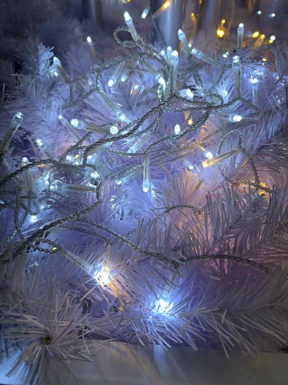 ごめんなさい😭💦