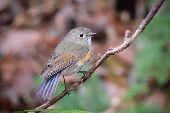 きょうもいちにち\( *´ω`* )/♪