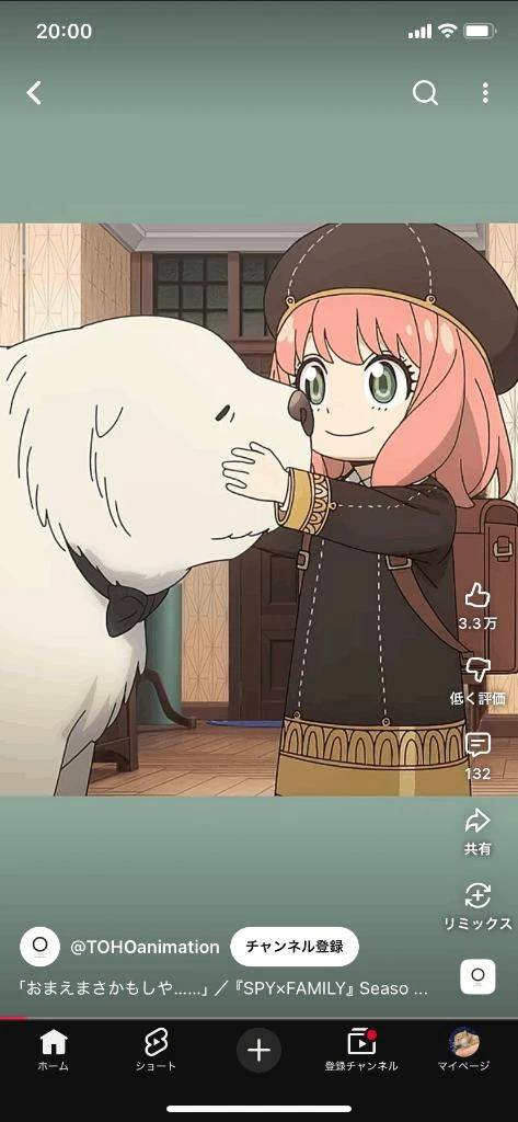 スパイファミリー