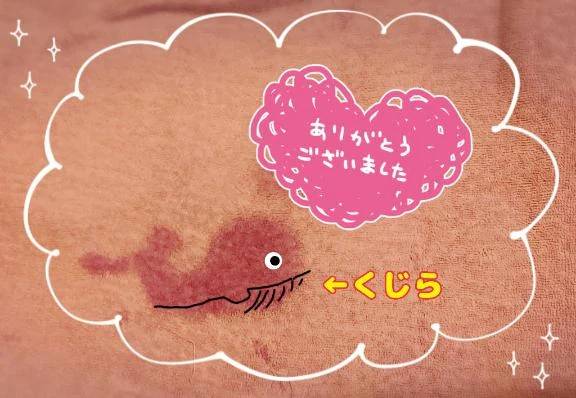 プンラス開始♨️