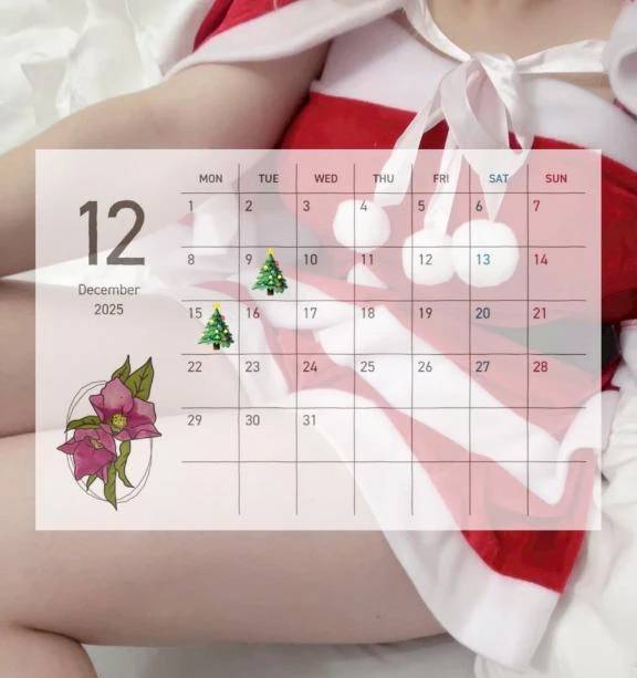 🎄12月のふわりの予定🎄