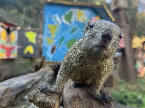 教習デビュー日記 ✨🏍️