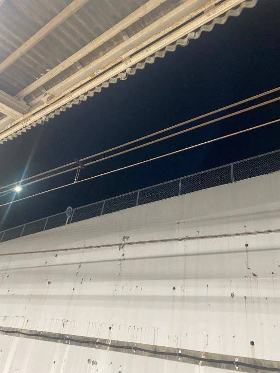 おはようございます