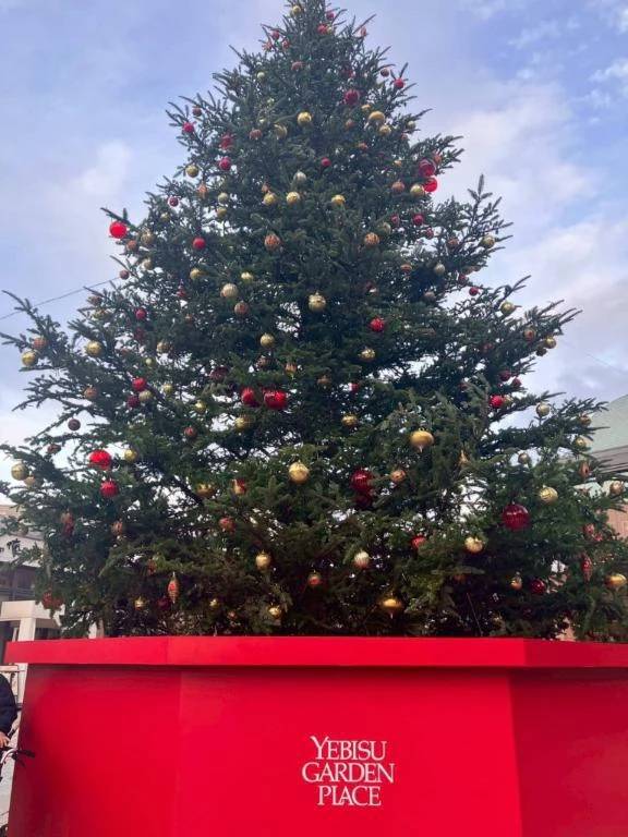 クリスマスツリー🎄とご予約♡