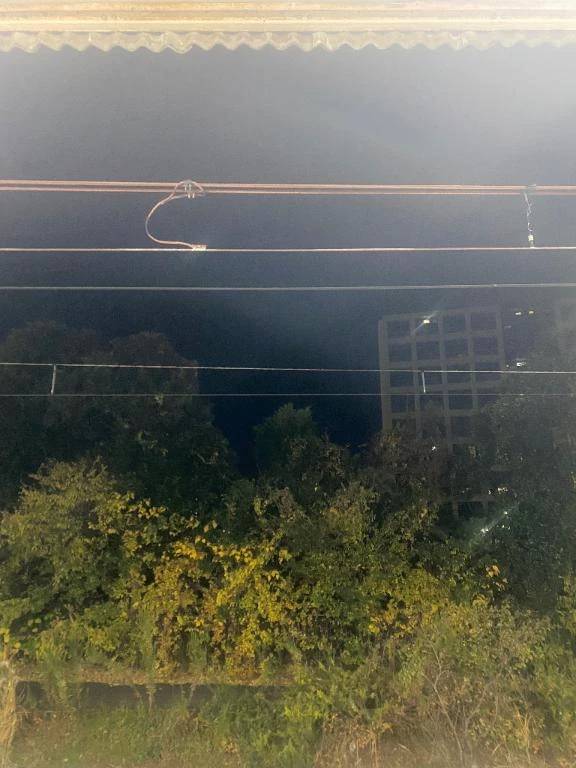 おはようございます