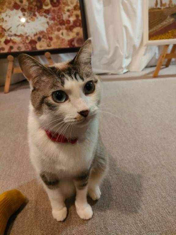 那須塩原🐾🐾