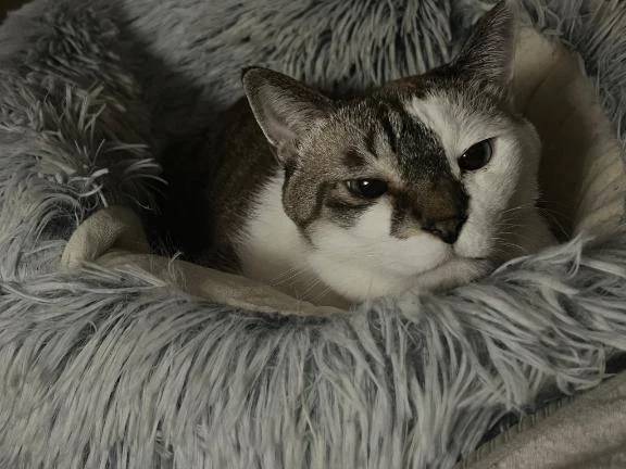 7時間寝た後に6時間寝たのは私です