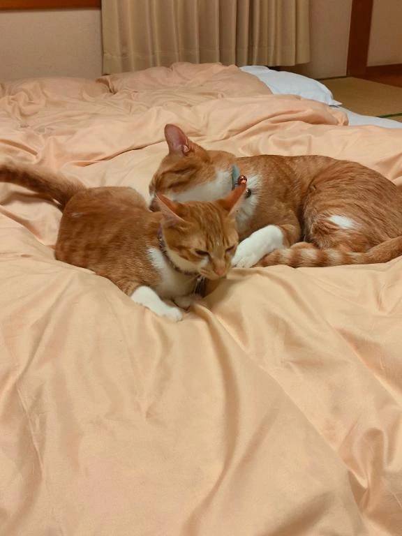 12月出勤予定/今年残す３回🙃