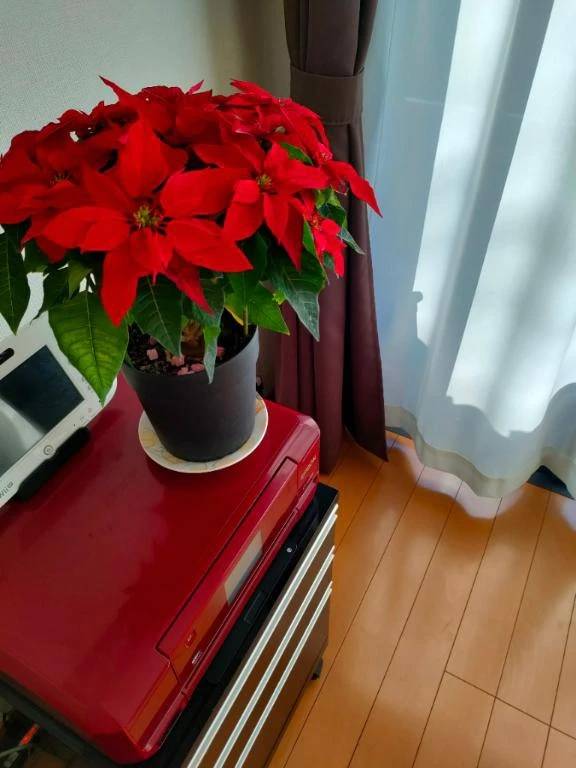 お掃除完了✨✨