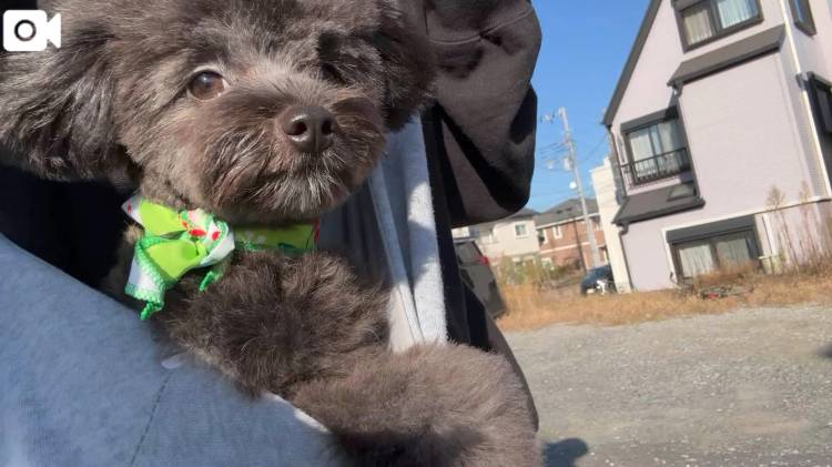 お休みさせて頂きますm(*_ _)m