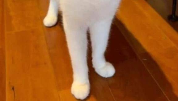 終電乗れました！