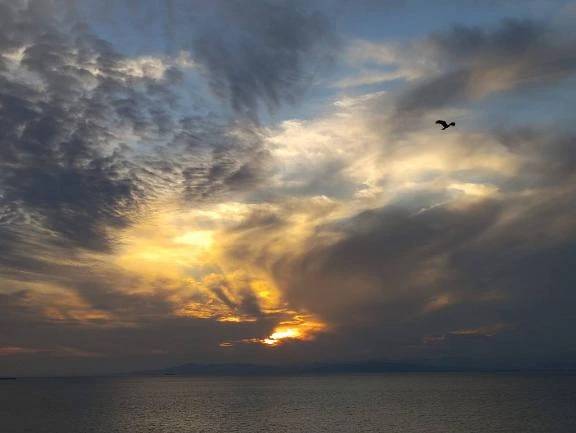 大変申し訳ありません‼️