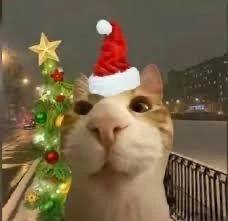 🎄クリスマスイベント❤️