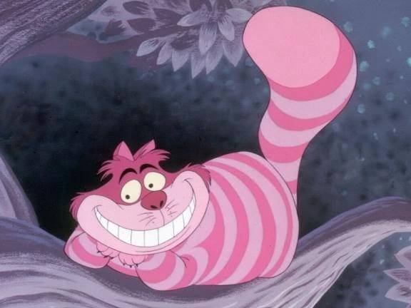 深まる謎🐈‍⬛