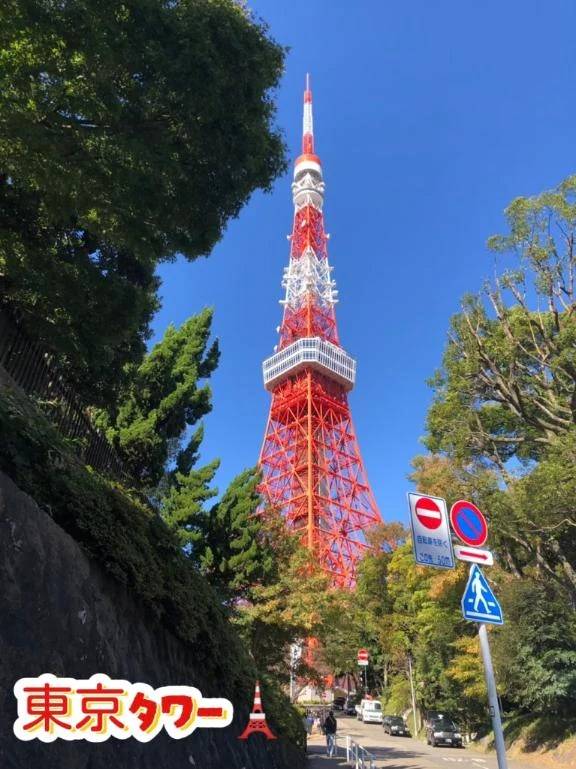 今日は何の日⤴️