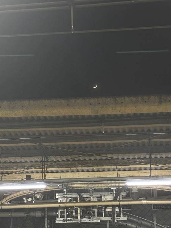 みあげてほしい\( *´ω`* )/♪