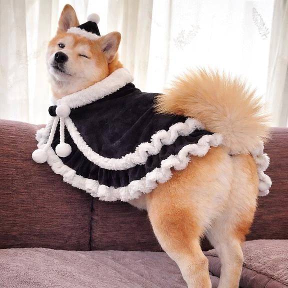 ❤️メリークリスマス❤️