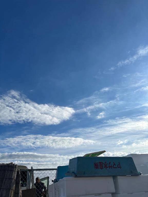 お正月🎍🌅🎍