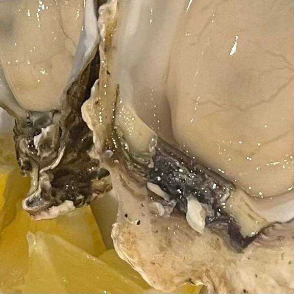 申し訳ないです。