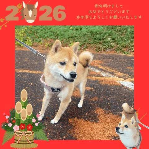 本年度もよろしくお願いいたします