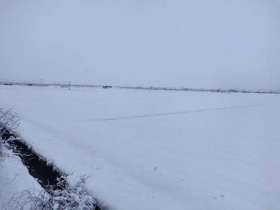 新潟から帰宅〜