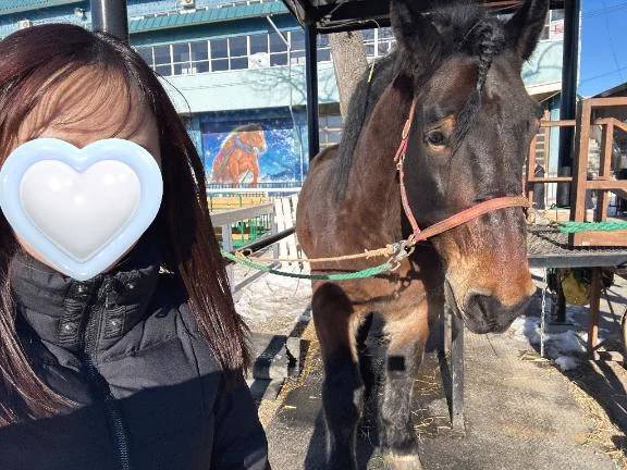 あけましておめでとうございます