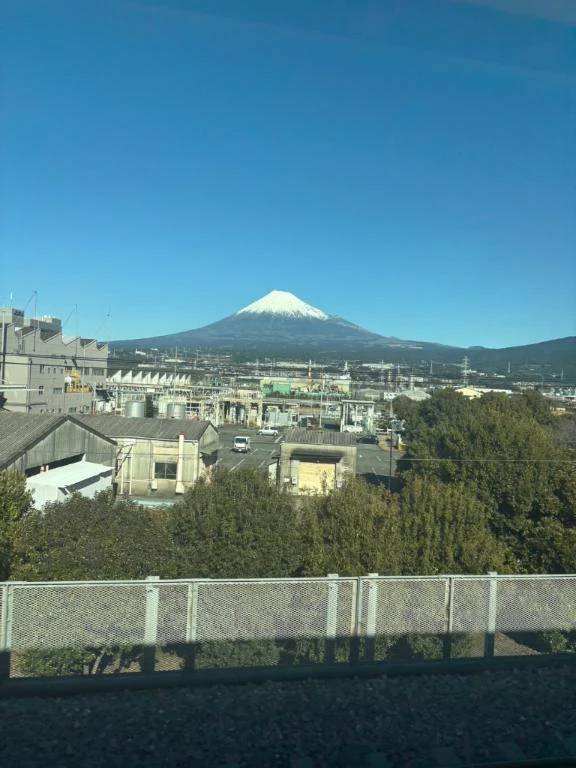 明後日から復活予定