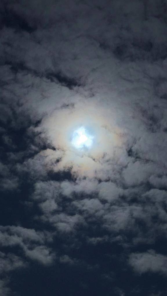 おはようございます☀️