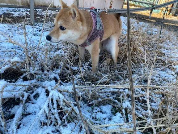 おはようございます