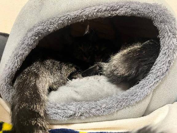 深淵を覗く時、深淵もまたこちらをのぞいているのだ(ΦдΦ)