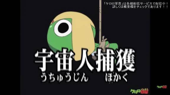 最近のハマり🐸