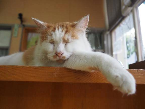 おはようございます☀️