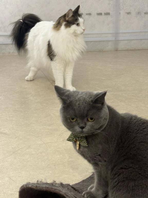 おはようございます☀️