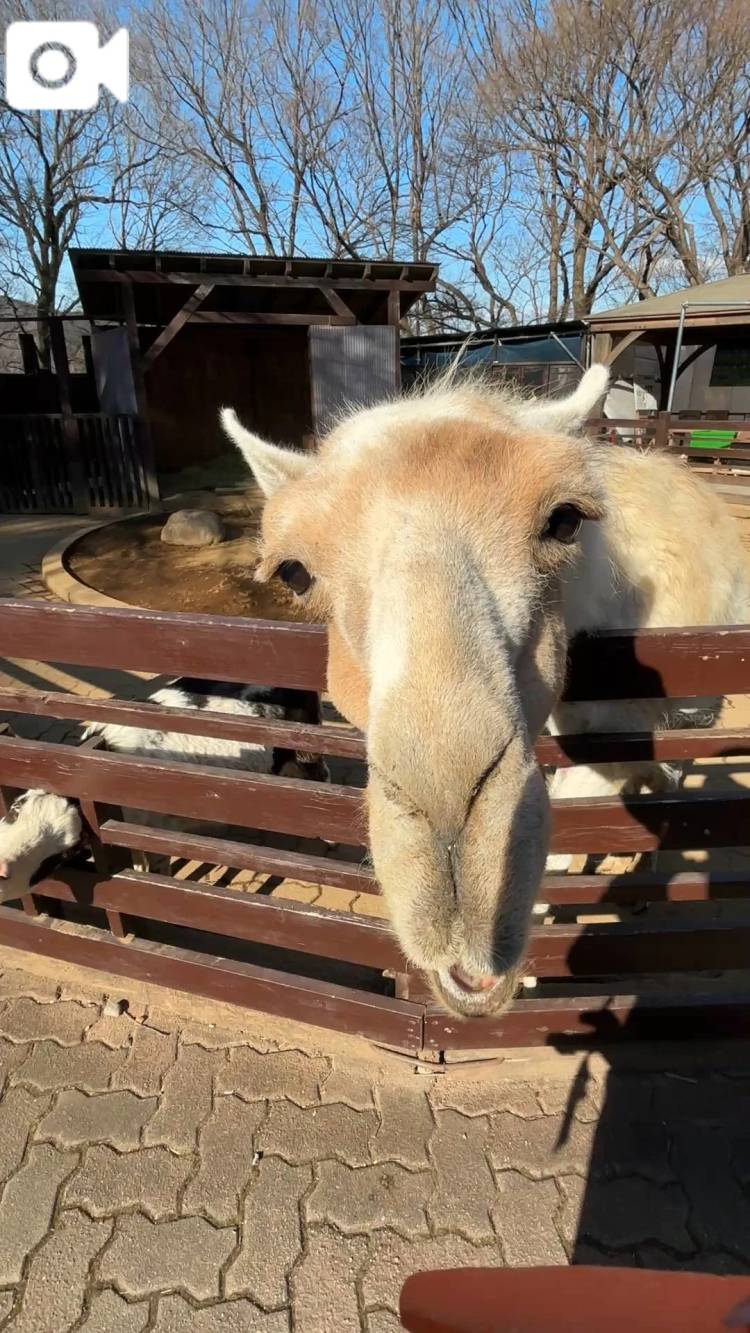 つるとまつ\( *´ω`* )/♪