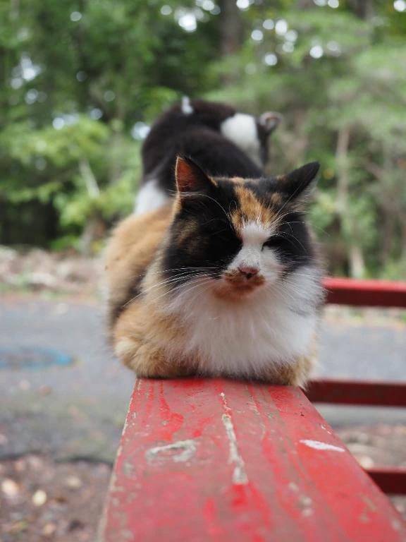 おはようございます☀️