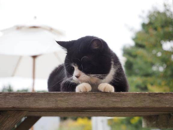 おはようございます☀️