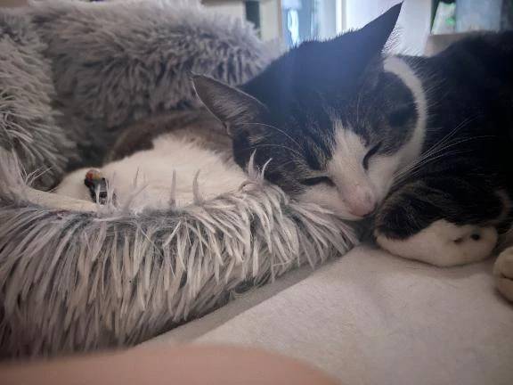 寒くて耳が痛いんだよおお