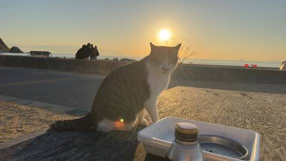 おはようございます☀️