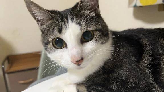 写真のネタ切れ。笑