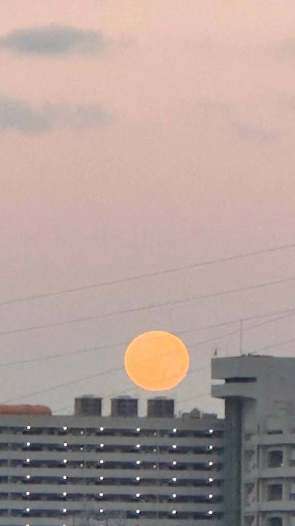 おはようございます☀️