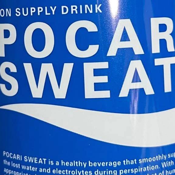 もし…｡ﾟ(ﾟ´ω`ﾟ)ﾟ｡