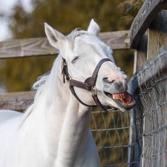 おつかれさまー！🙏🏻