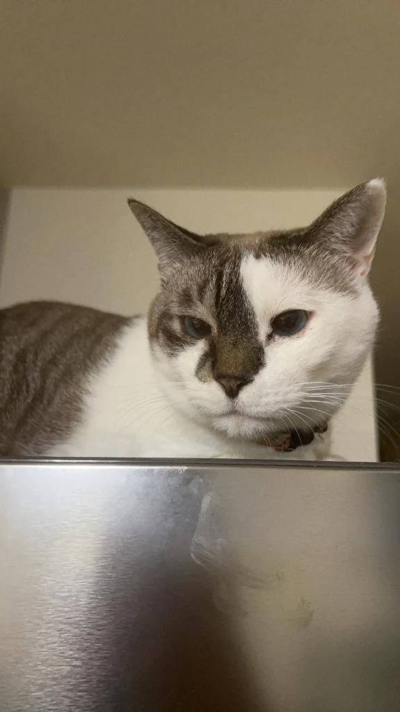 🥶🥶⛄️🥶🥶