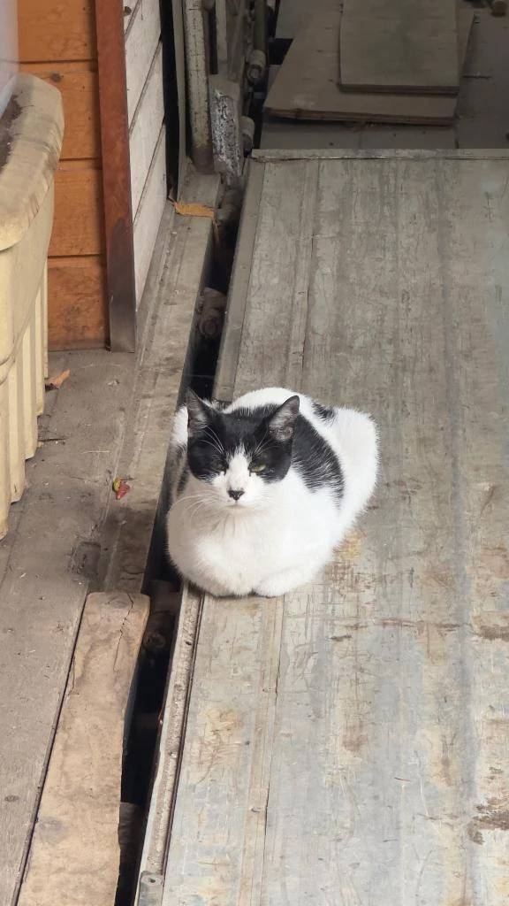 おはようございます☀️